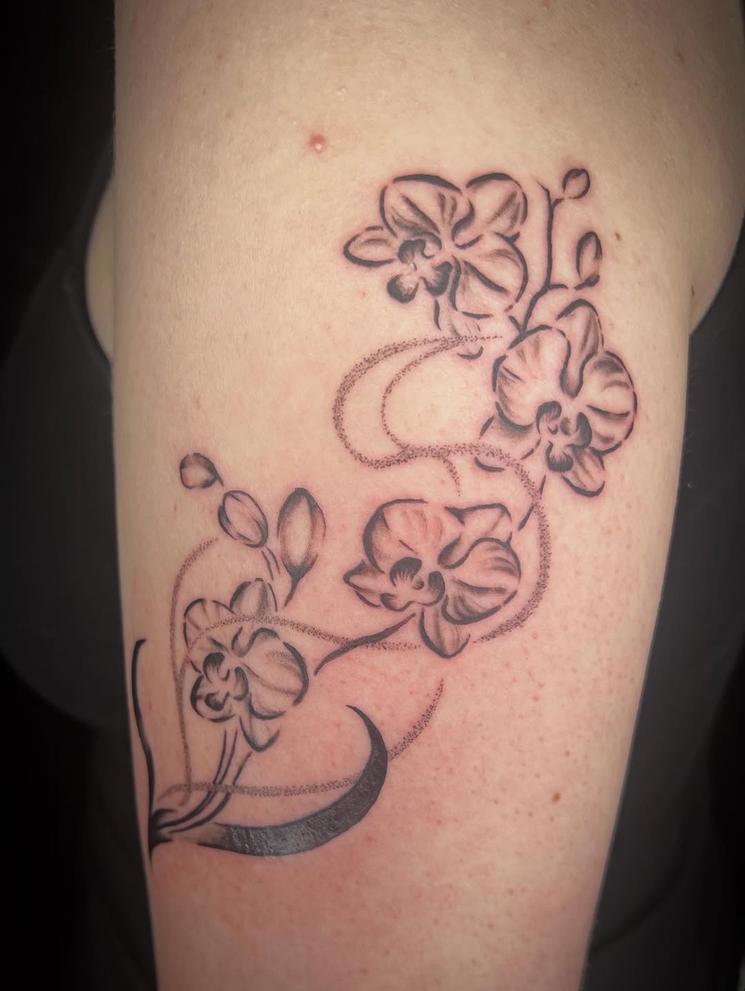 Tattoo by @dirtbagdani.tattoo — fine_line, black_and_grey