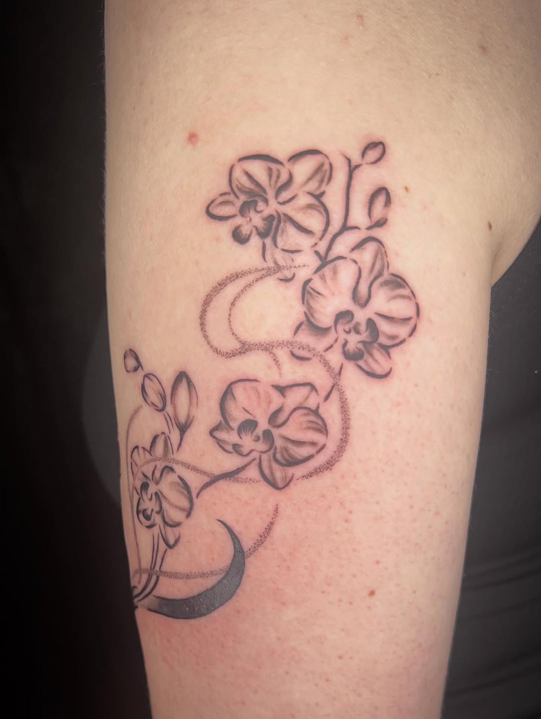 Tattoo by @dirtbagdani.tattoo — fine_line, black_and_grey