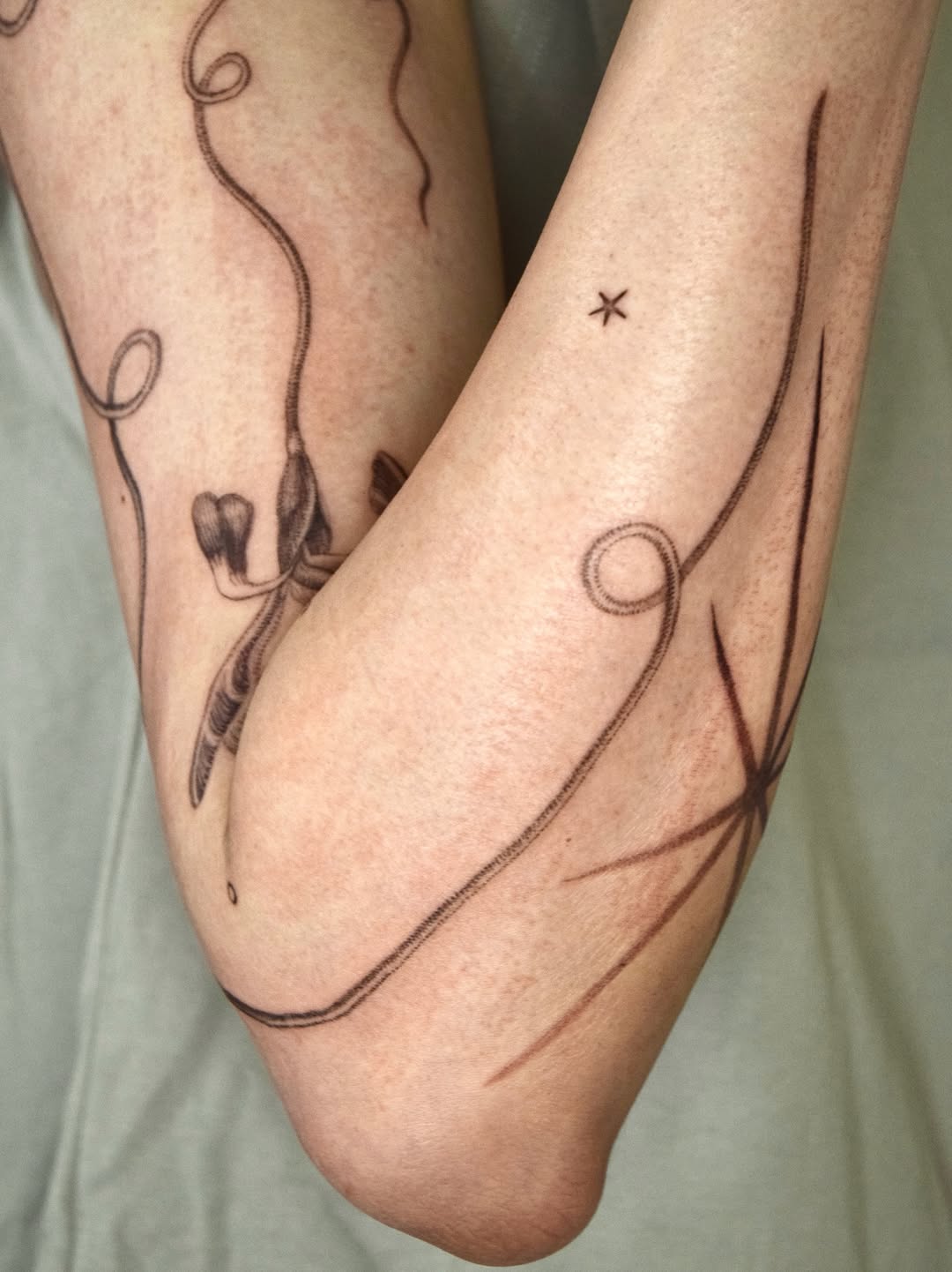 Tattoo by @oh_stella_oh — illustrative, fine_line
