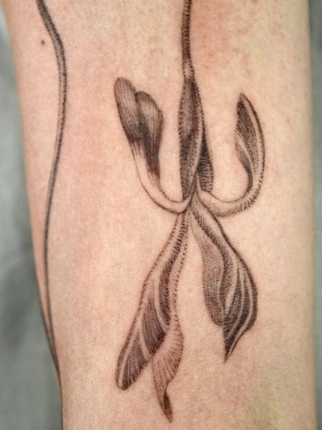 Tattoo by @oh_stella_oh — illustrative, black_and_grey