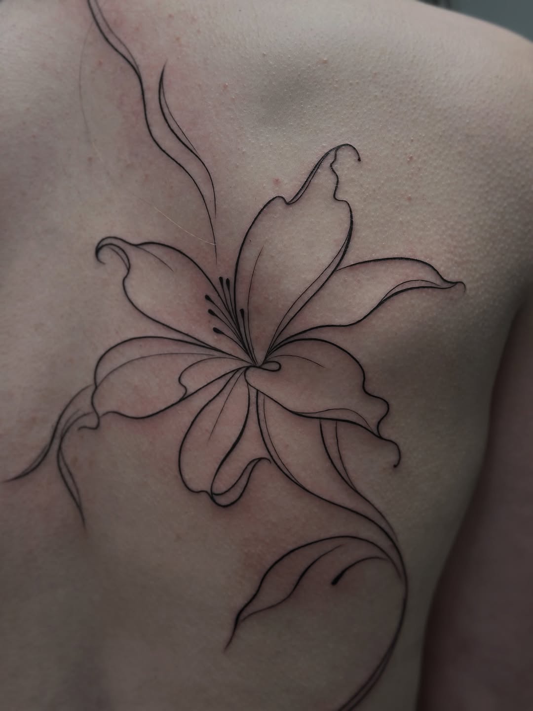 Tattoo by @richardtattooart β fine_line