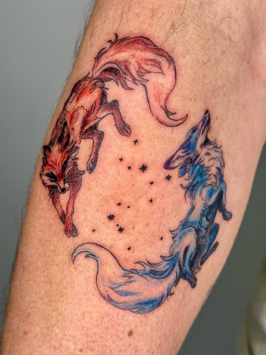 Tattoo by @tiff_tatts — illustrative, watercolor