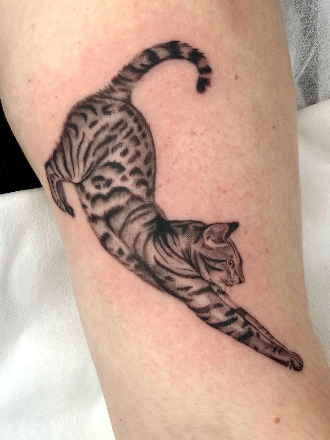 Tattoo by @code_red_ink — realism, black_and_grey