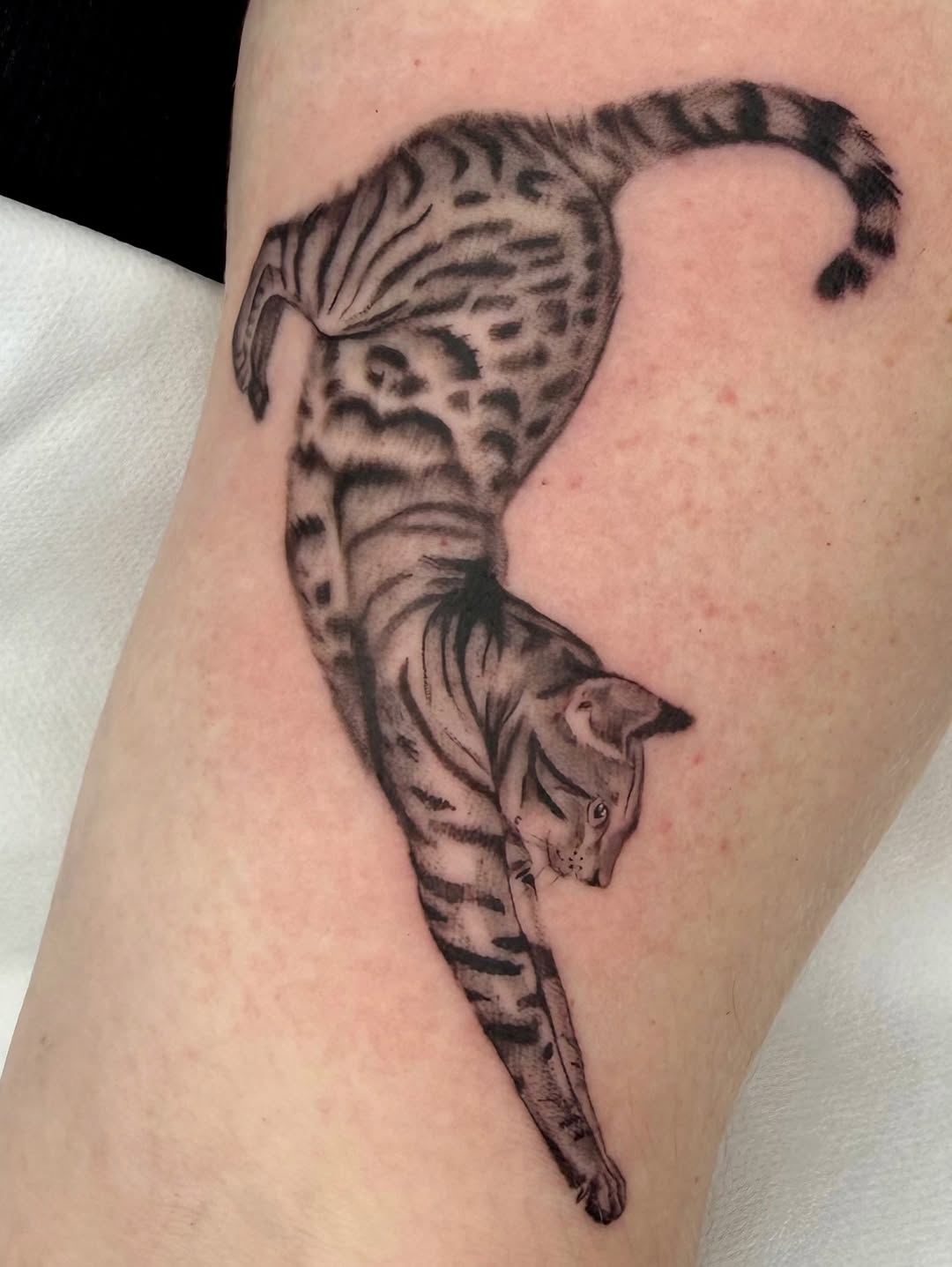 Tattoo by @code_red_ink — realism, black_and_grey