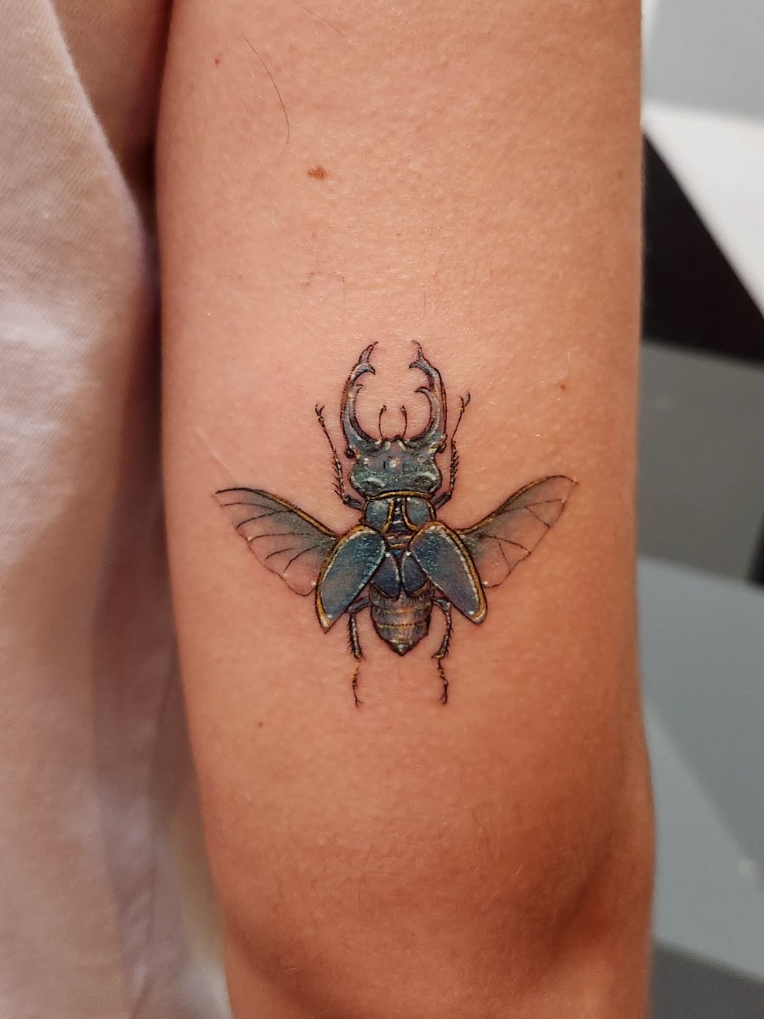 Tattoo by @oriotat2 — realism, fine_line