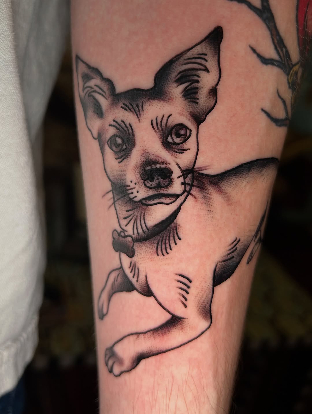 Tattoo by @tattoosbyolivia — black_and_grey, dotwork
