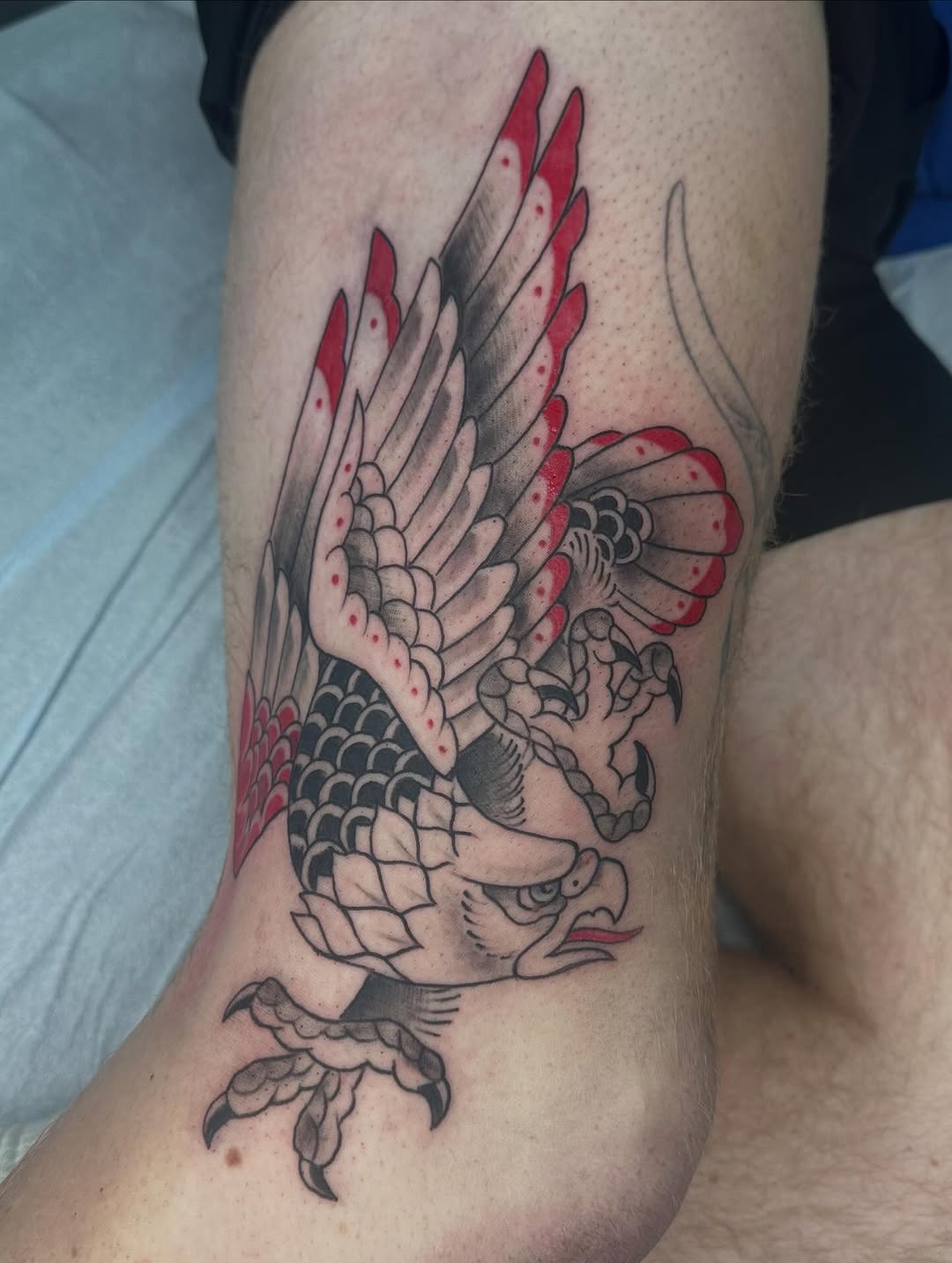 Tattoo by @tattoosbyhaas — american_traditional, illustrative