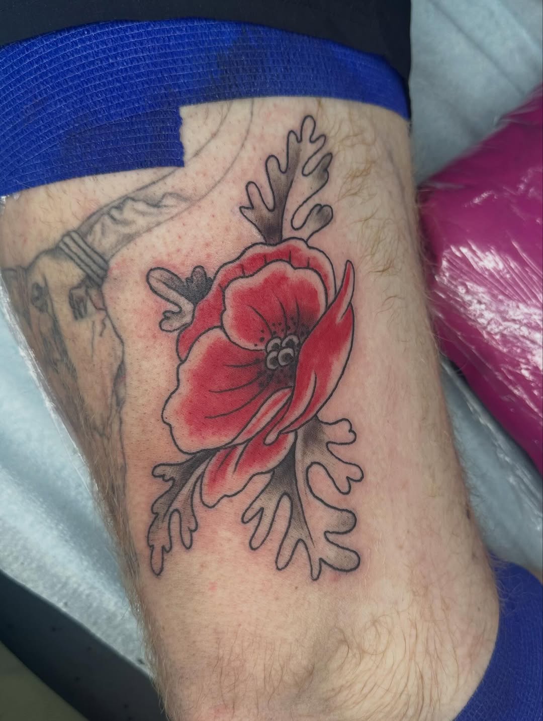 Tattoo by @tattoosbyhaas — american_traditional, illustrative