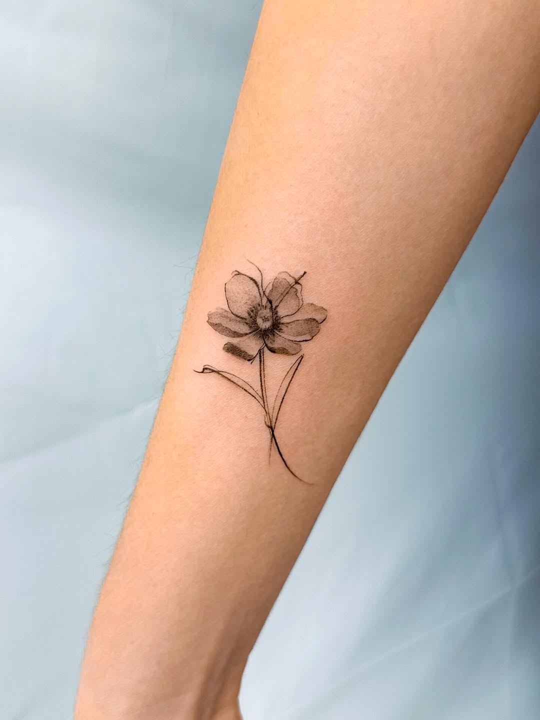 Tattoo by @catmorfin.tattoo — fine_line, black_and_grey