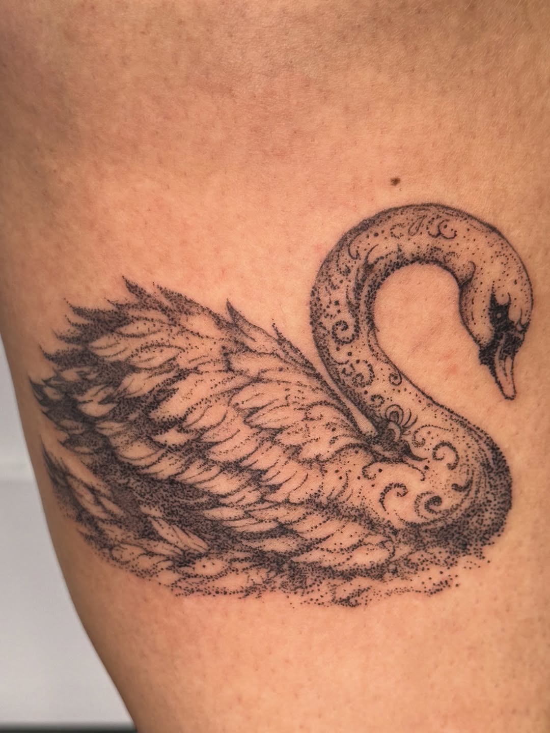Tattoo by @sabinatattoos — dotwork, illustrative