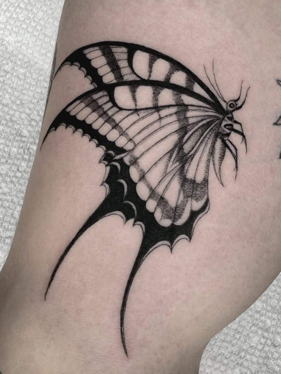 Tattoo by @grit.tattoo — black_and_grey, fine_line