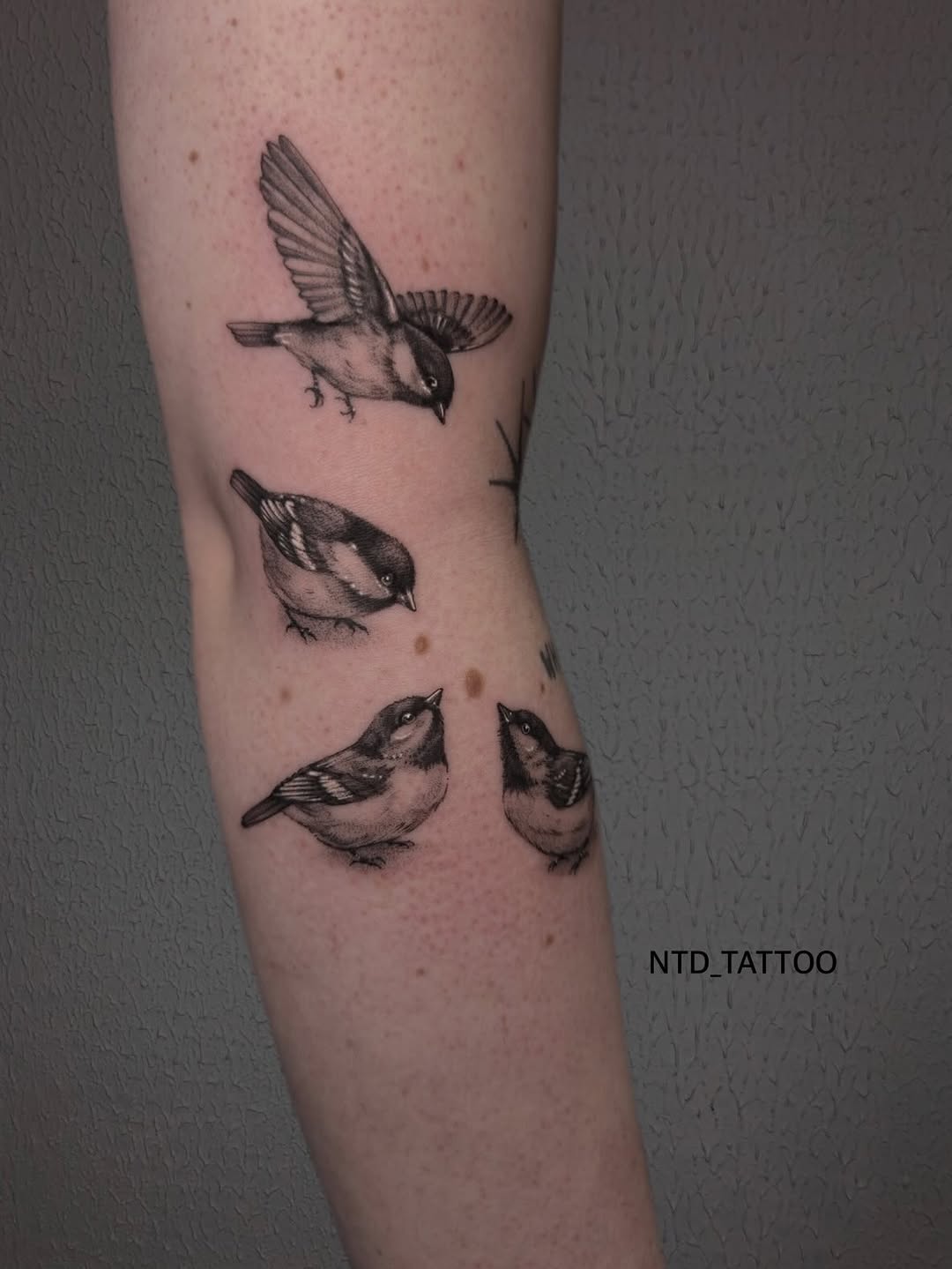 Tattoo by @ntd_tattoo — realism, black_and_grey
