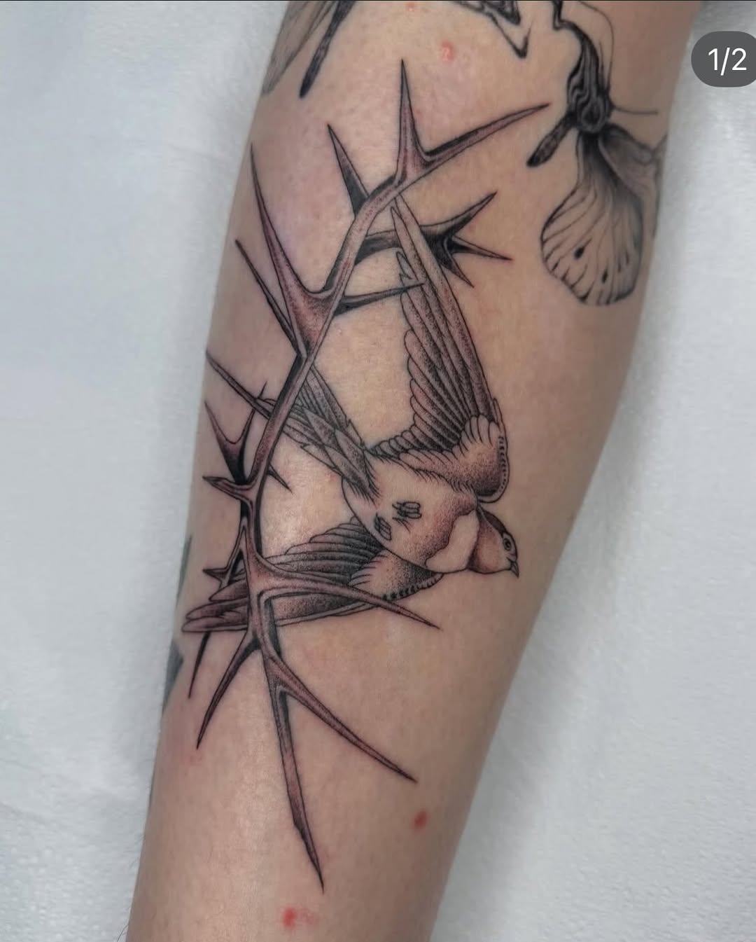 Tattoo by @mothmilk — black_and_grey, realism