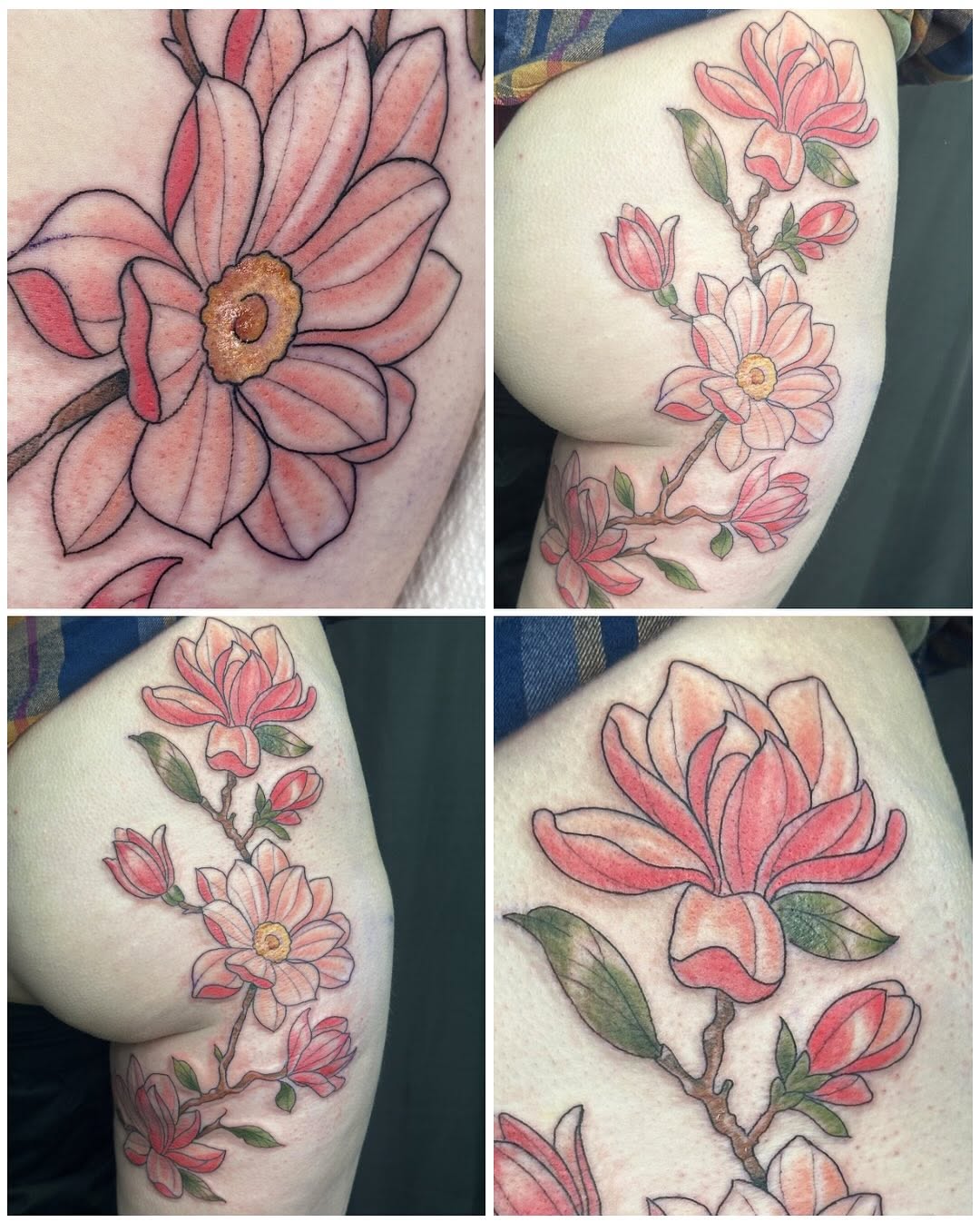 Tattoo by @tattoosbyhaas — illustrative, neo_traditional