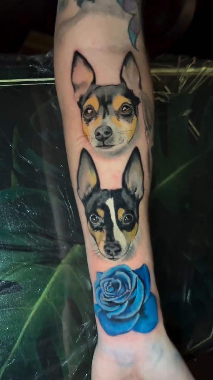 Tattoo by @kelseytattoos — realism, illustrative