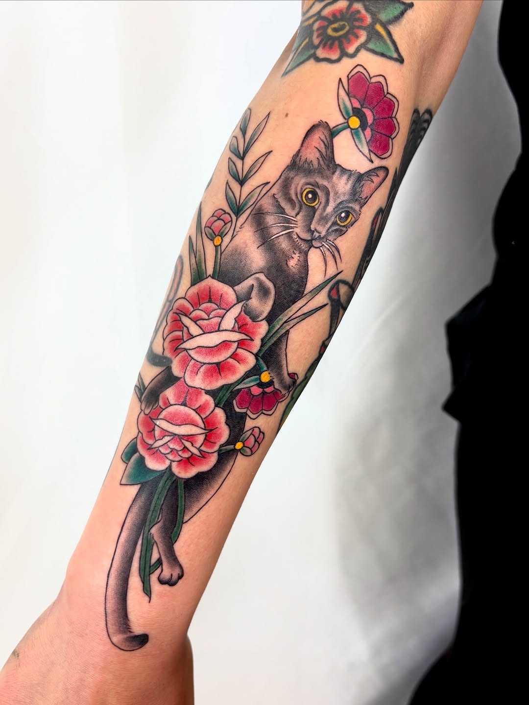 Tattoo by @tats_by_bcatt — american_traditional, illustrative