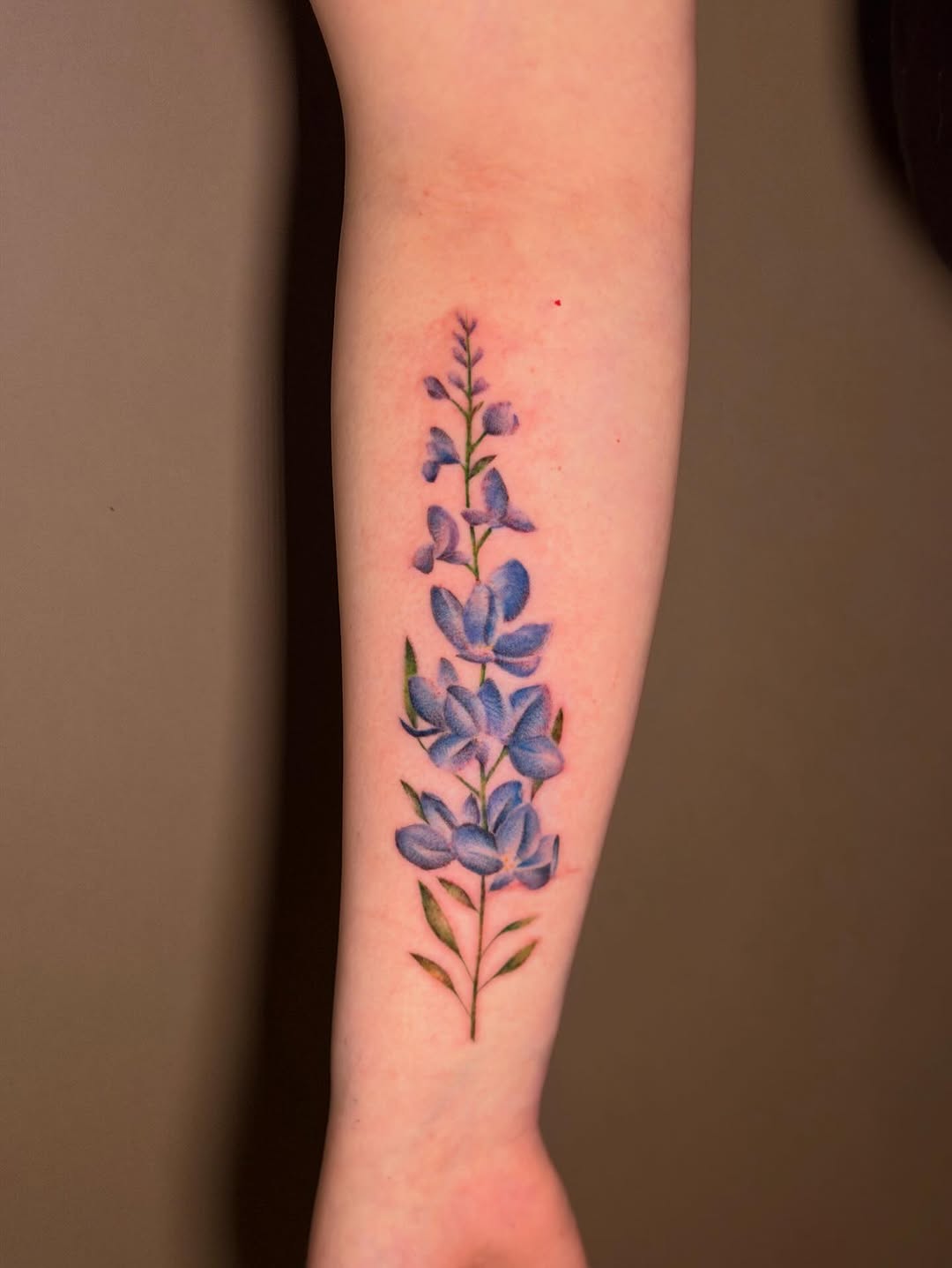 Tattoo by @namboink — realism, illustrative