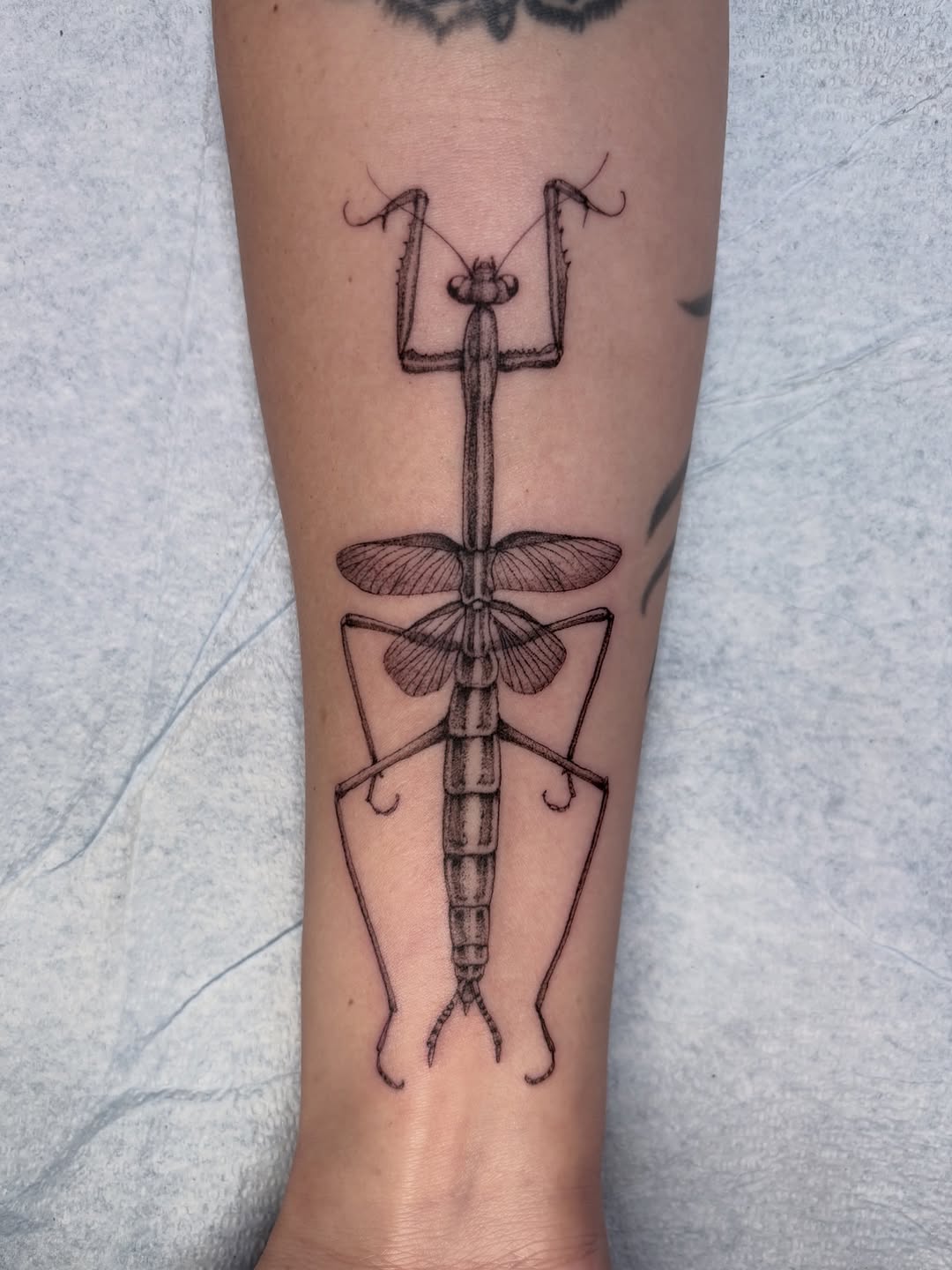 Tattoo by @jakehodsontattoo — black_and_grey, illustrative