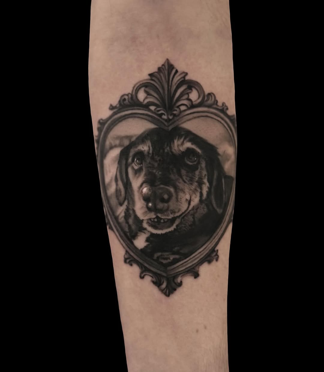 Tattoo by @jenbeantattoos โ realism, black_and_grey