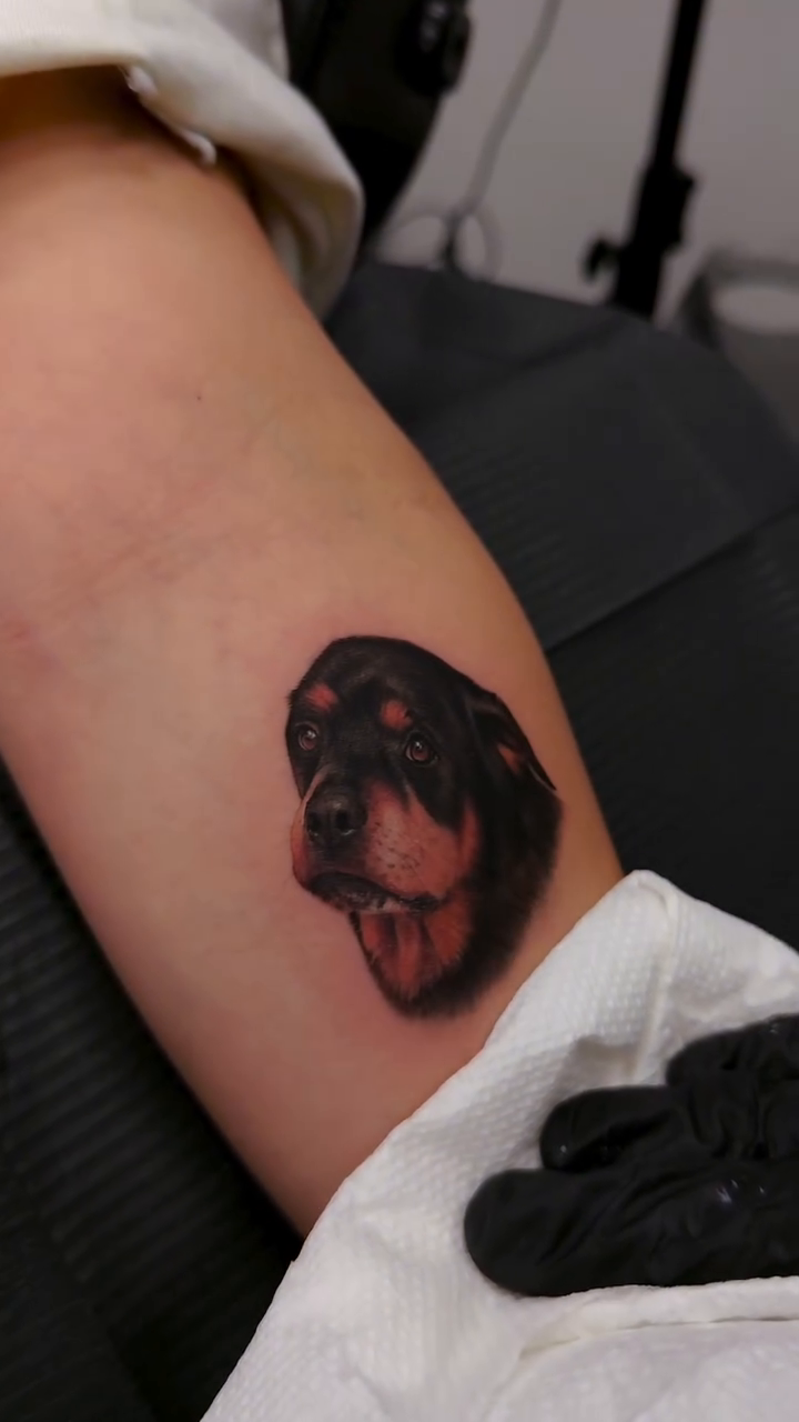 Tattoo by @falcontattooist — realism, black_and_grey