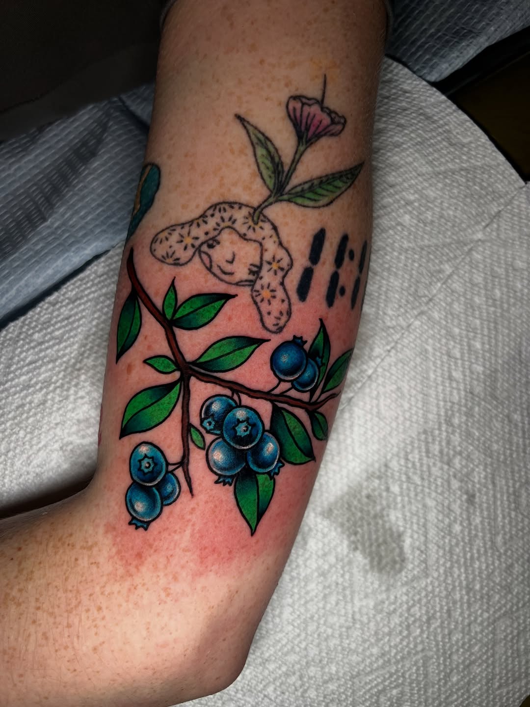 Tattoo by @braytontattoos — new_school, illustrative