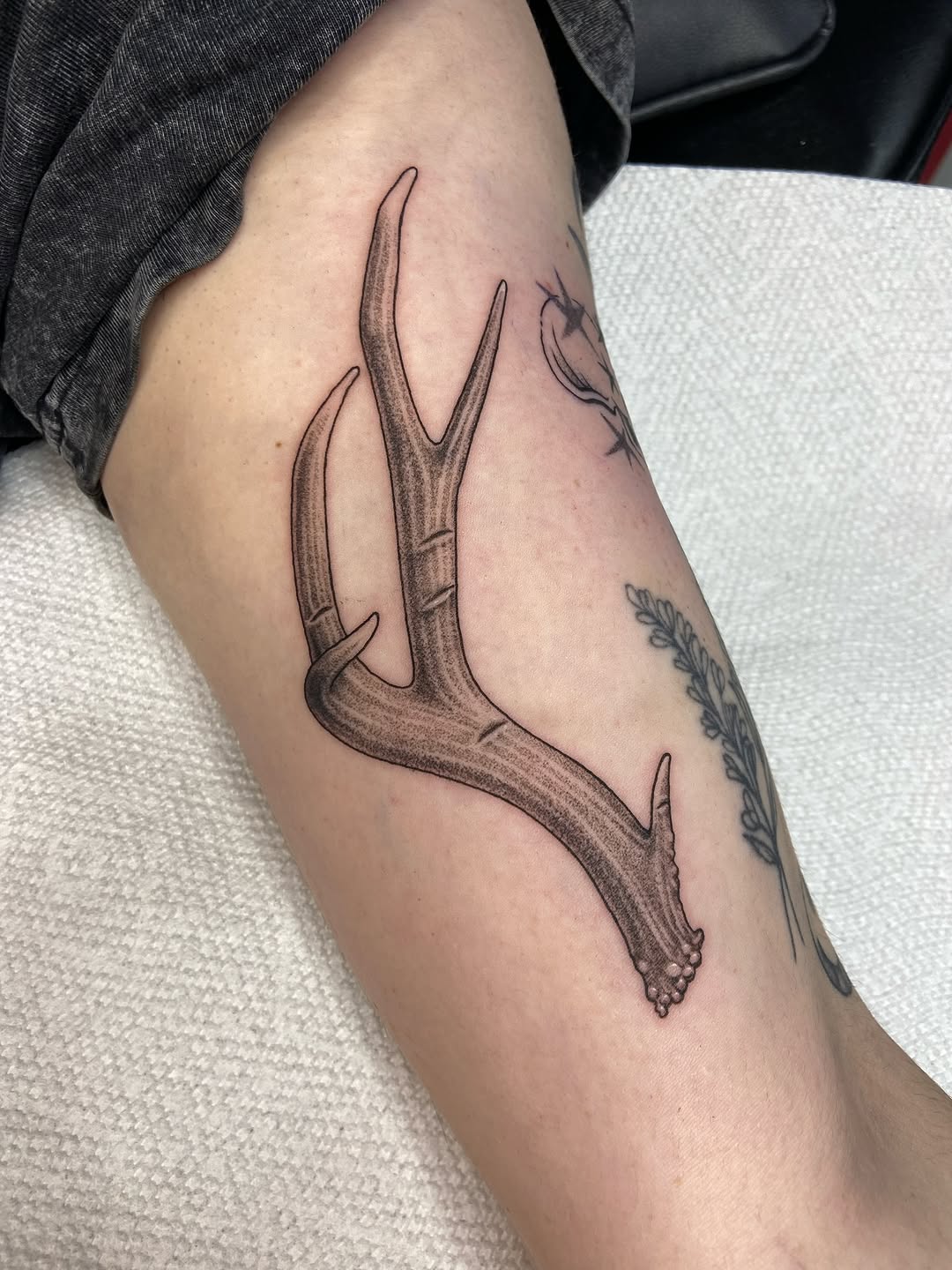 Tattoo by @blairrydell โ black_and_grey, realism