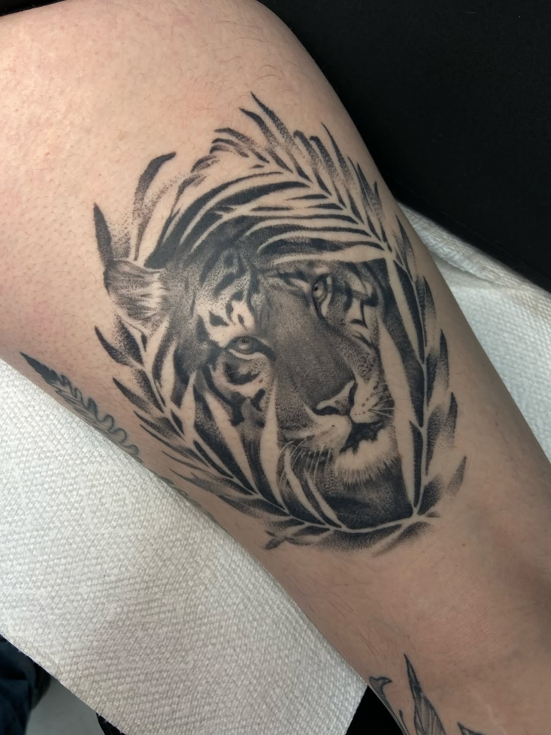 Tattoo by @blairrydell โ realism, black_and_grey