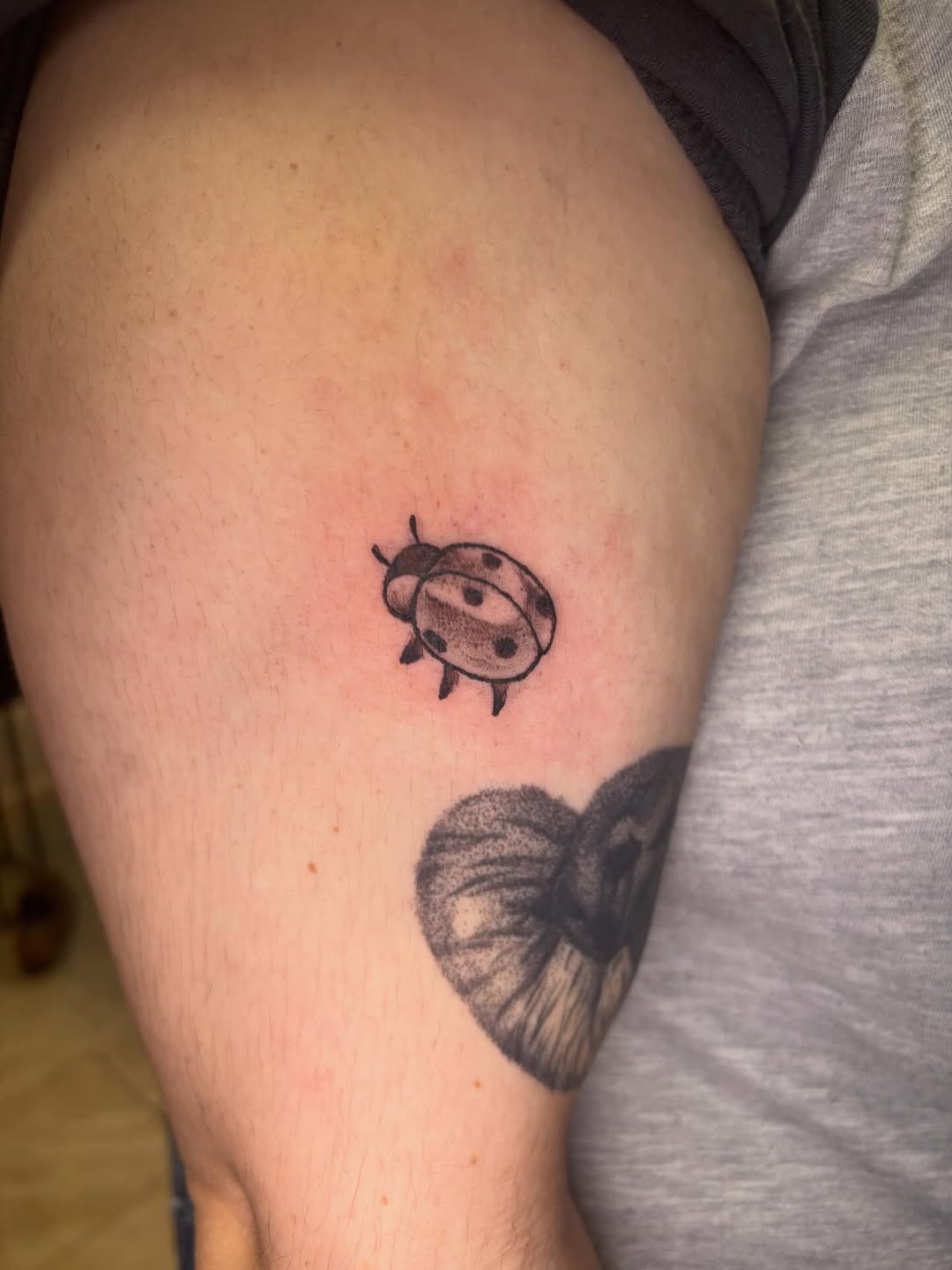 Tattoo by @siekay โ fine_line, dotwork