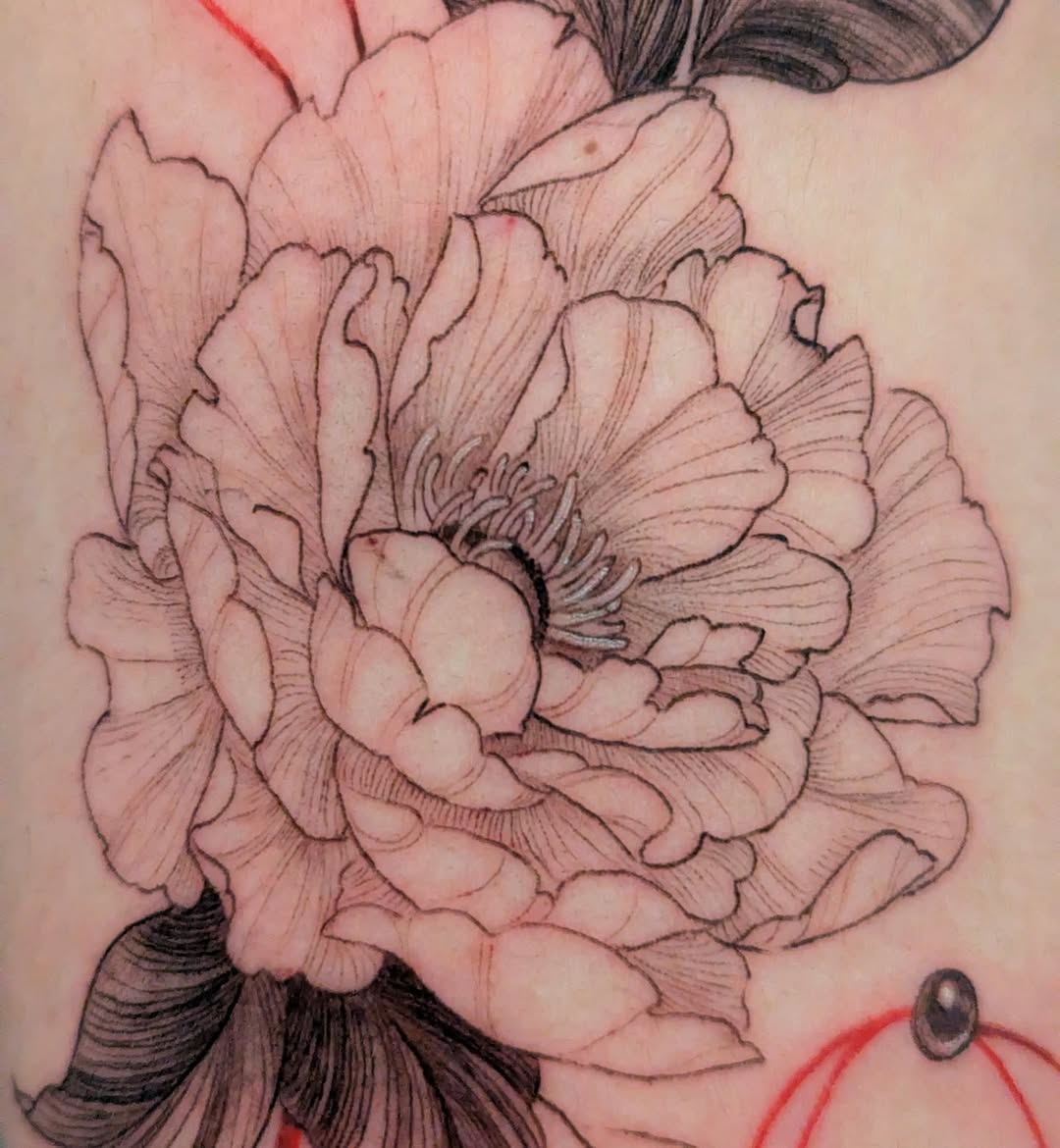 Tattoo by @invisibleink___ — fine_line, black_and_grey