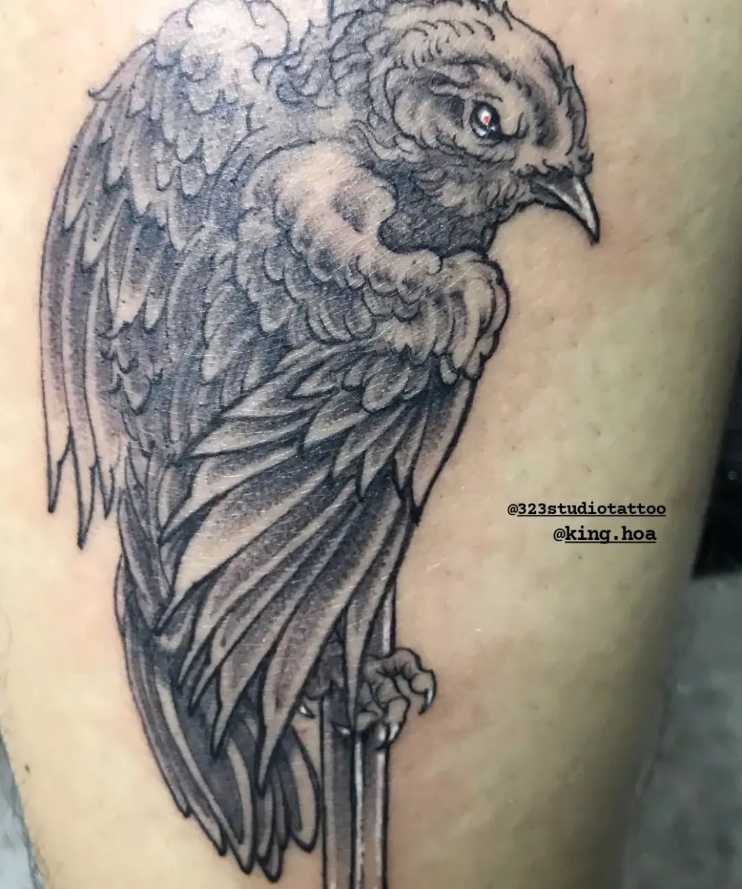 Tattoo by @323studiotattoo — black_and_grey, realism