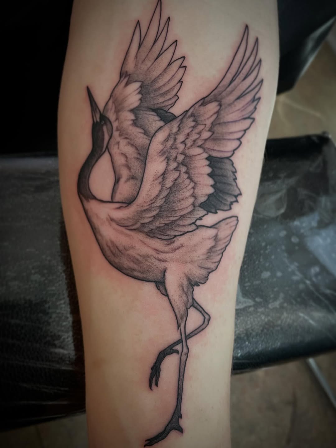 Tattoo by @wizardspits — black_and_grey, dotwork