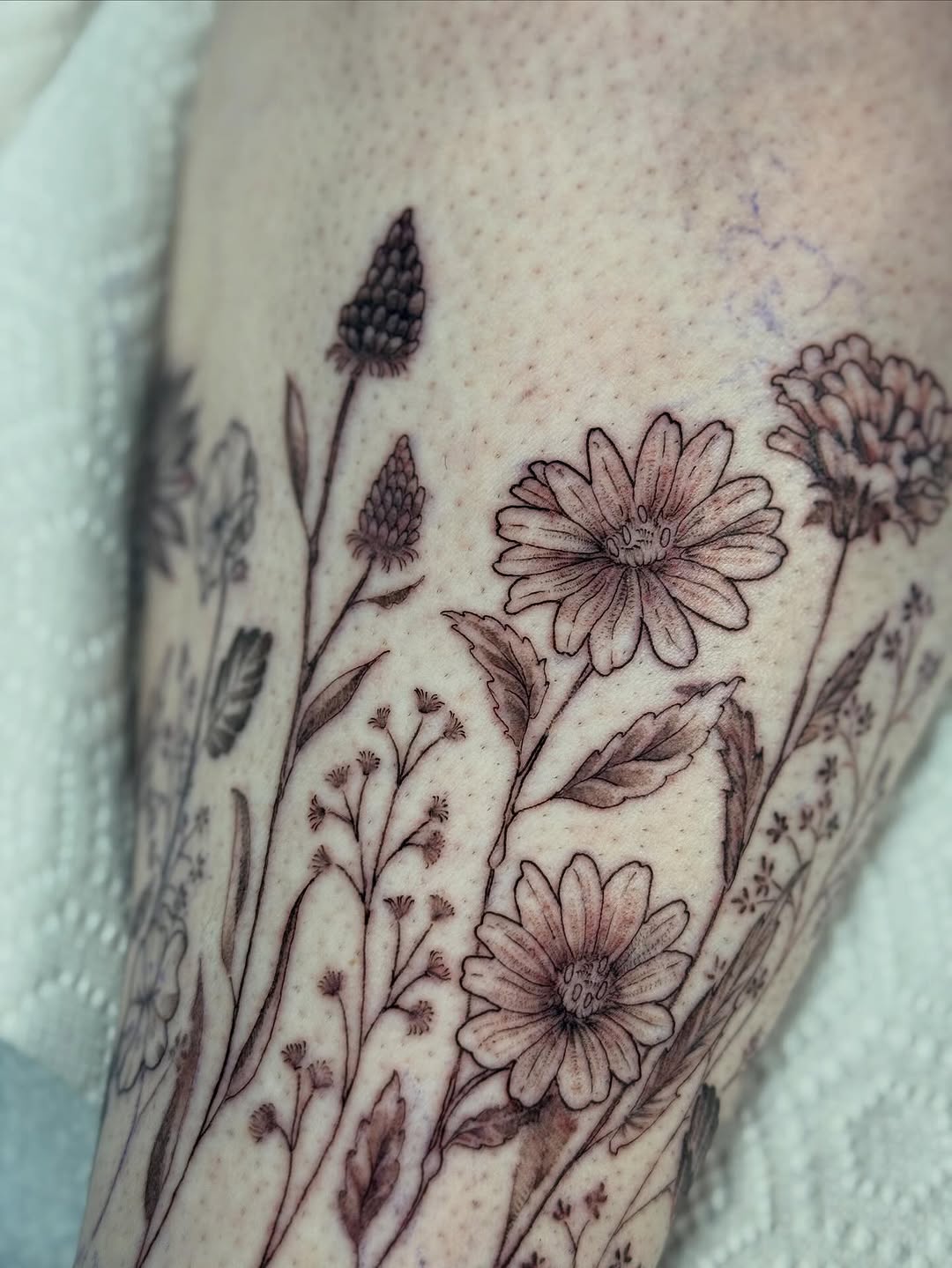 Tattoo by @saveriatattoos — fine_line, illustrative