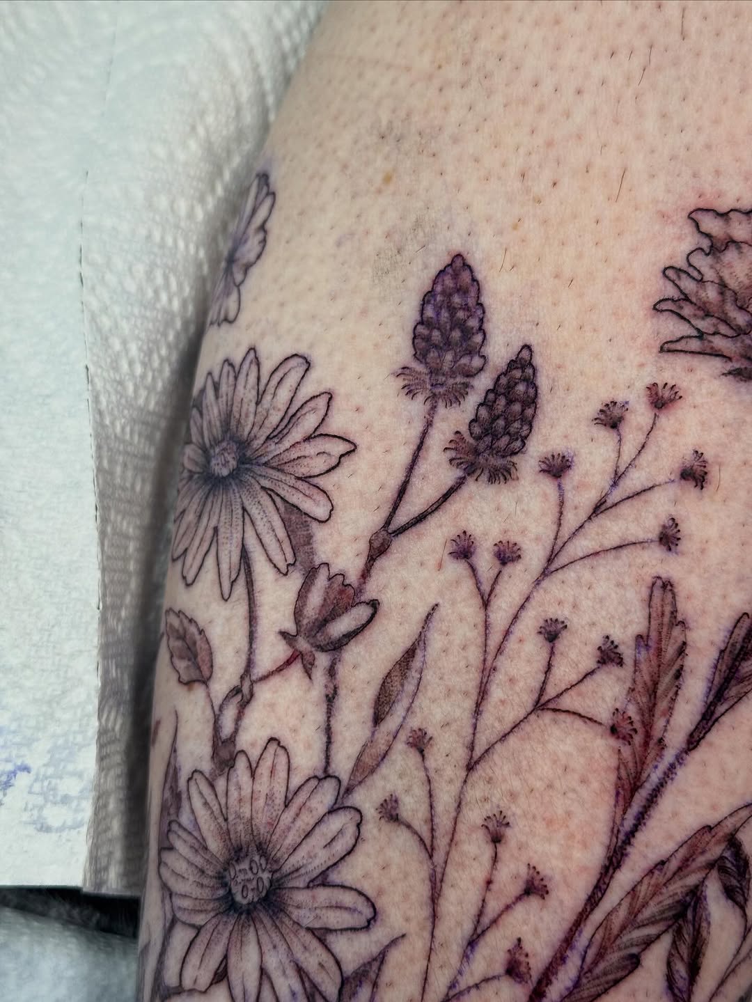 Tattoo by @saveriatattoos — fine_line, illustrative