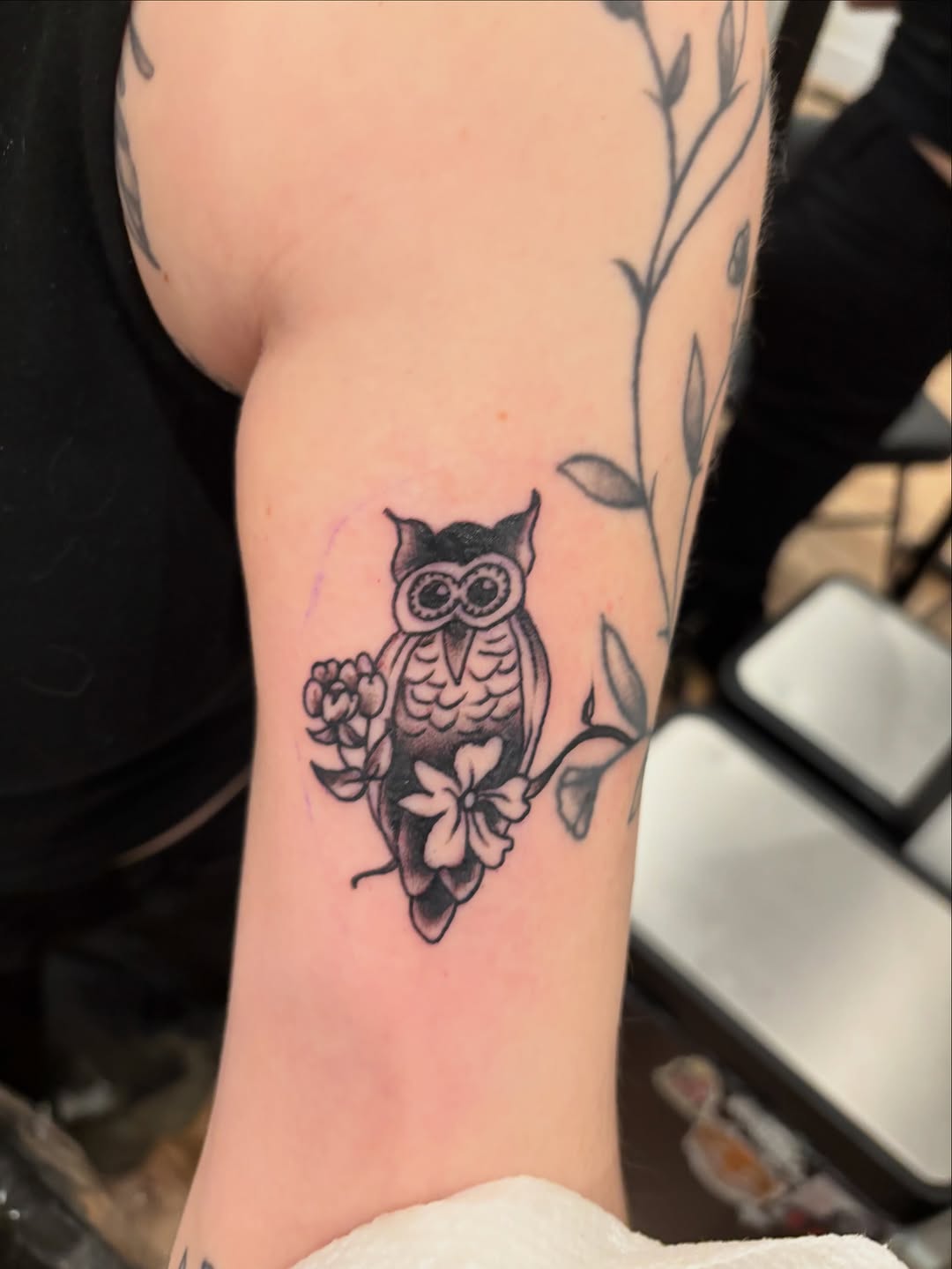 Tattoo by @fracas_tattoo โ american_traditional, illustrative