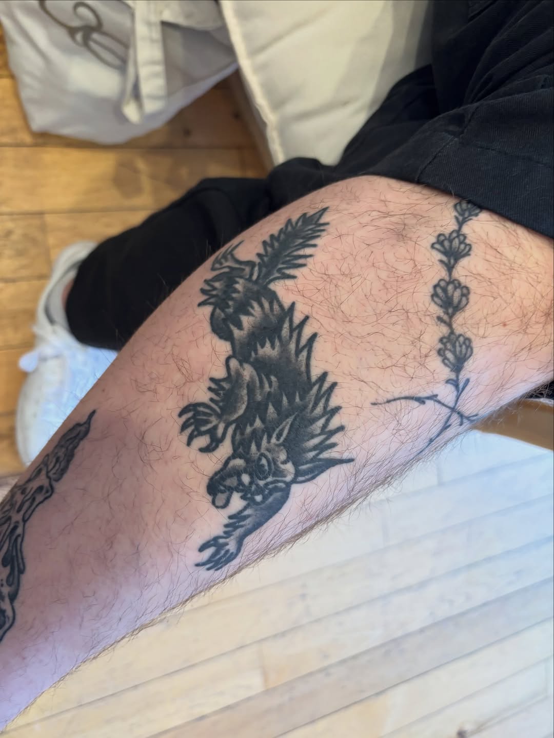 Tattoo by @fracas_tattoo โ american_traditional, illustrative
