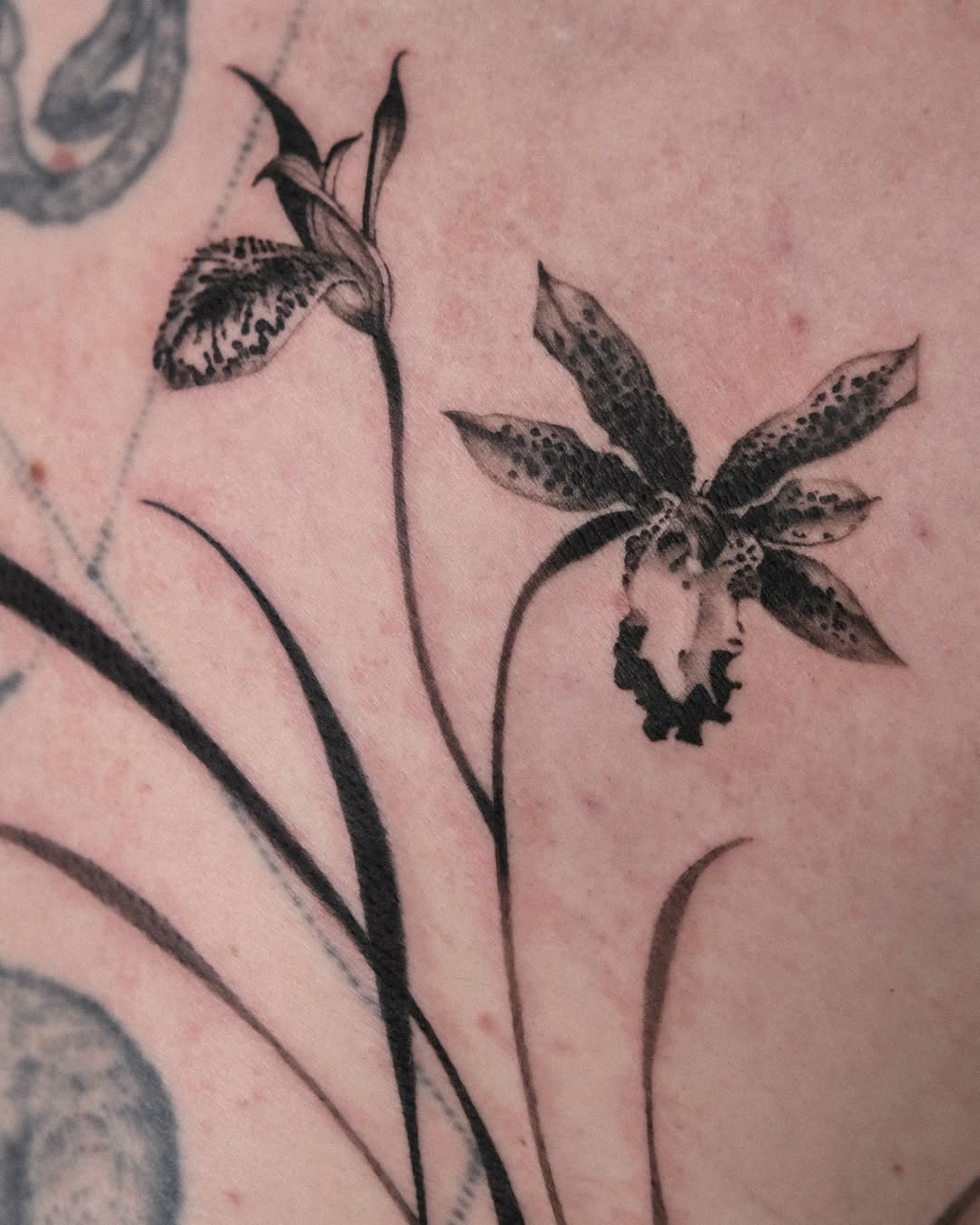 Tattoo by @theonly4zoy — black_and_grey, realism