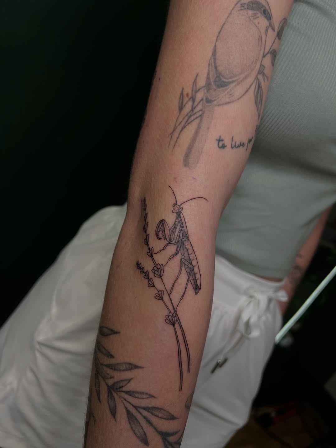 Tattoo by @tattoosbyrach — fine_line