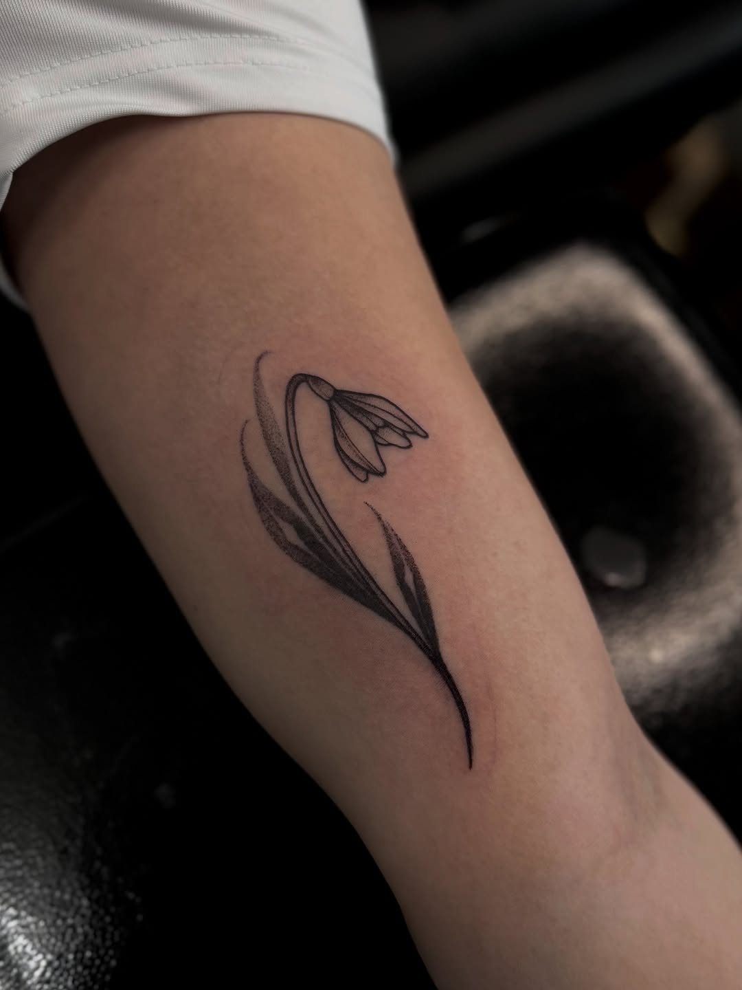 Tattoo by @porcelain_tats — fine_line, dotwork