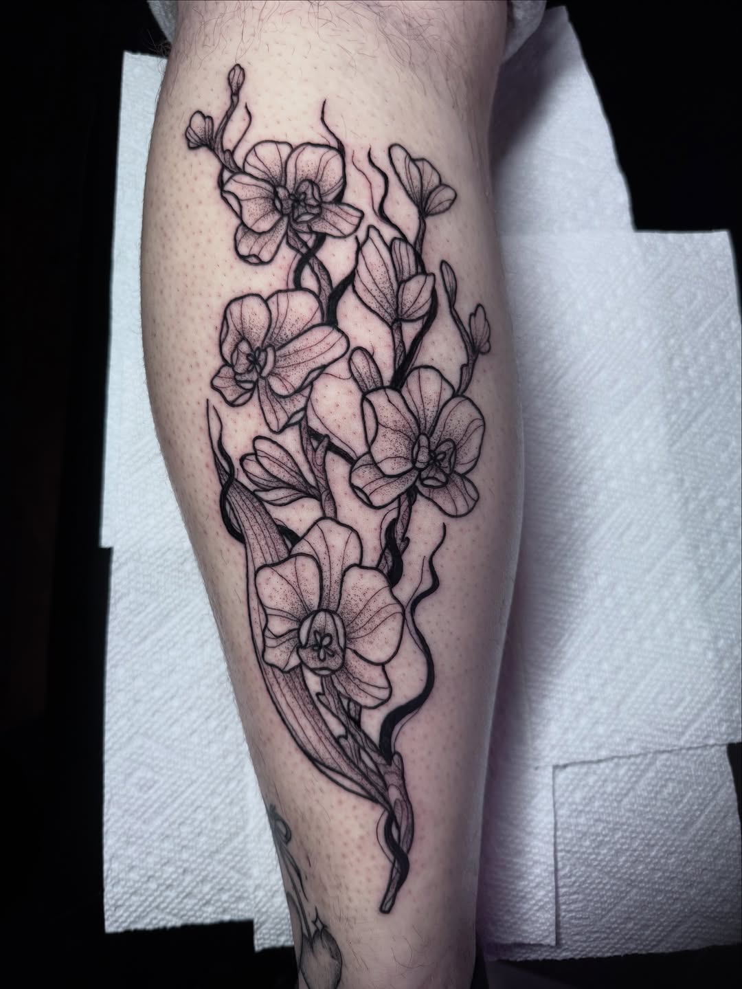 Tattoo by @nuclearhearttattoos — fine_line, black_and_grey