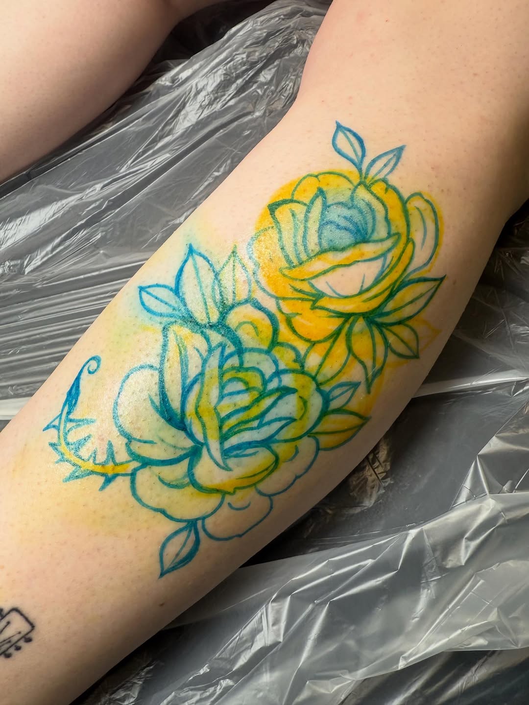 Tattoo by @izztat2 — watercolor