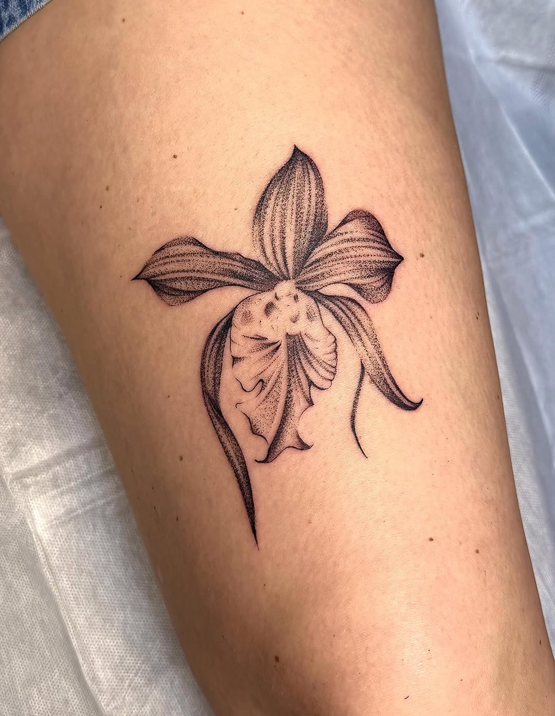 Tattoo by @margsmagic — dotwork, fine_line