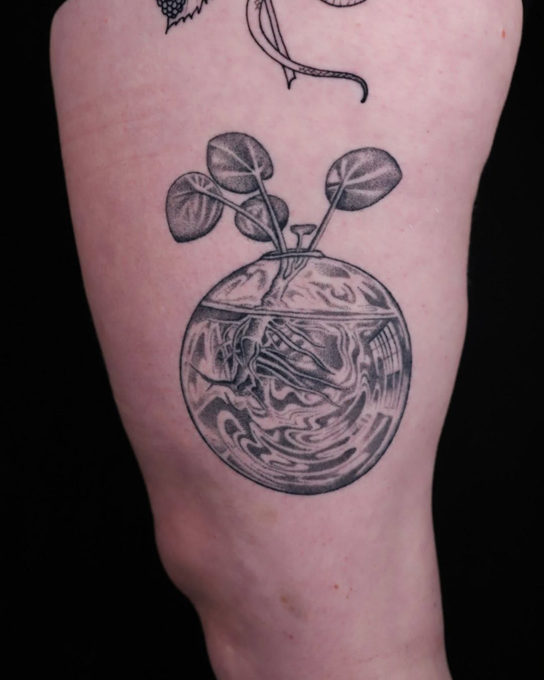 Tattoo by @tenderpoke — dotwork