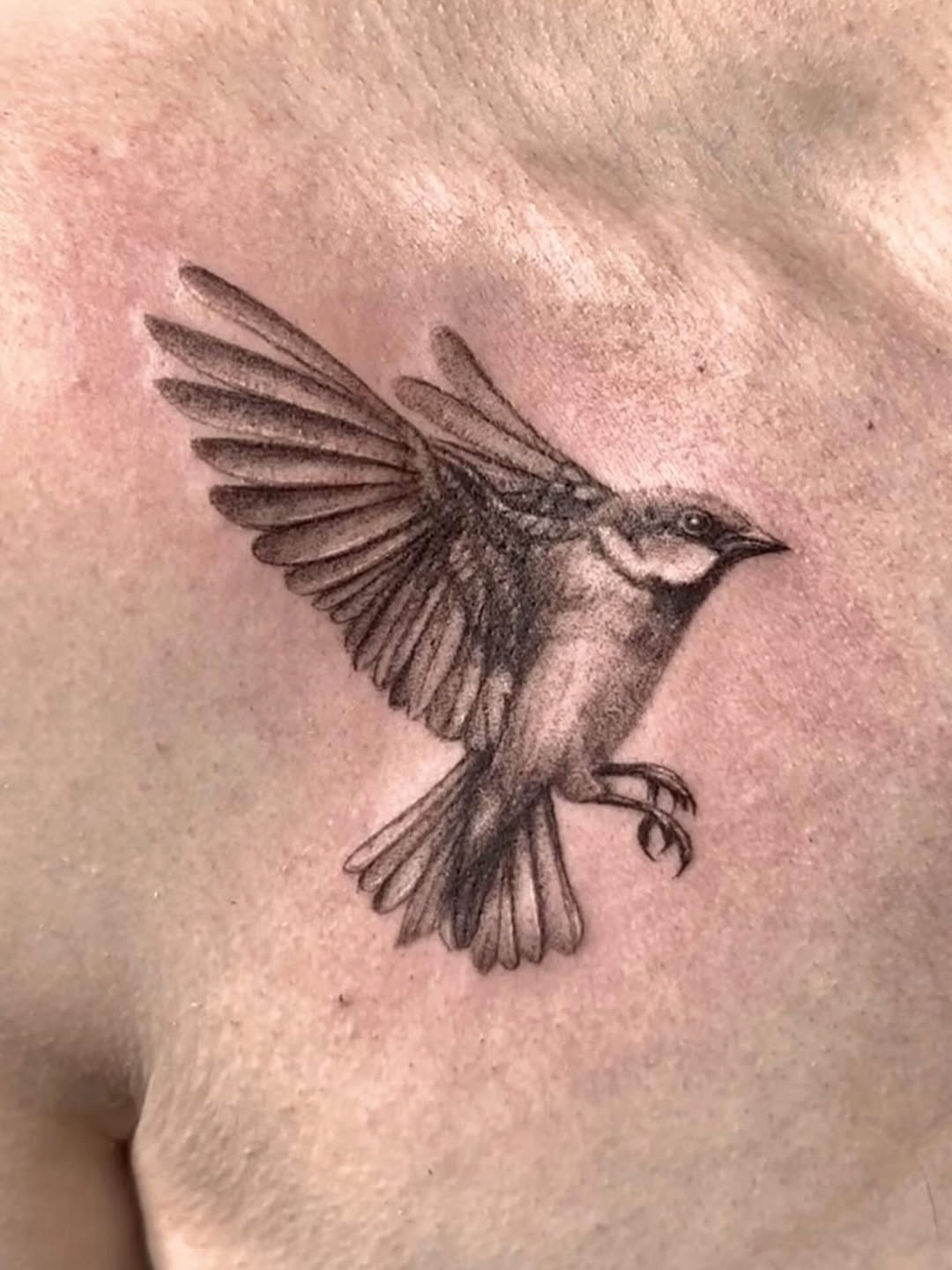 Tattoo by @sherllytattoos_ โ realism, black_and_grey