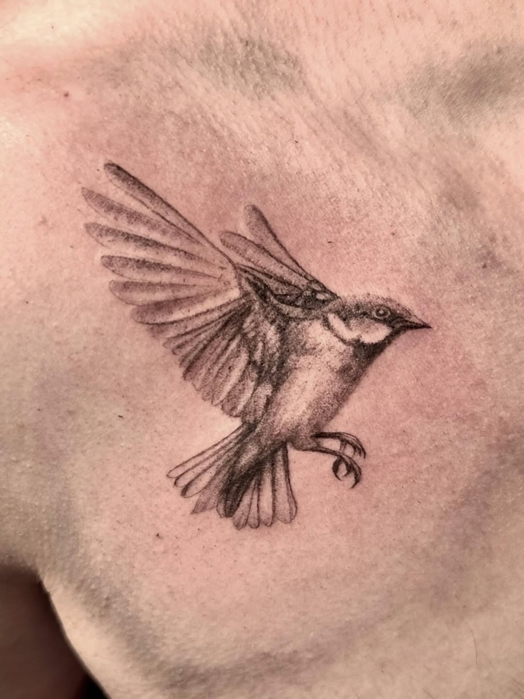 Tattoo by @sherllytattoos_ โ realism, black_and_grey