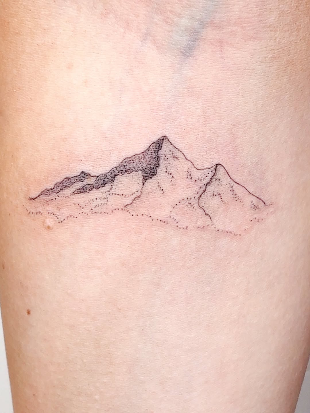 Tattoo by @chloerenee.ink — dotwork, fine_line