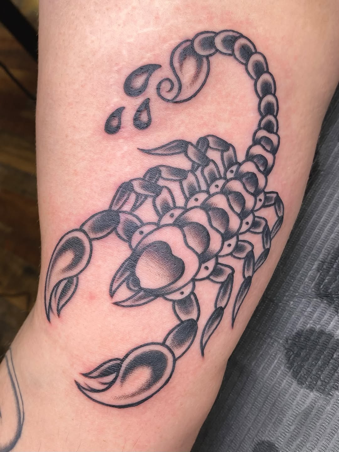 Tattoo by @sarahstabbies — american_traditional