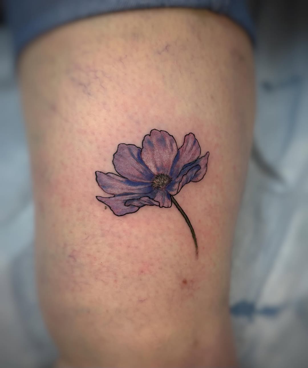 Tattoo by @saveriatattoos — illustrative, fine_line