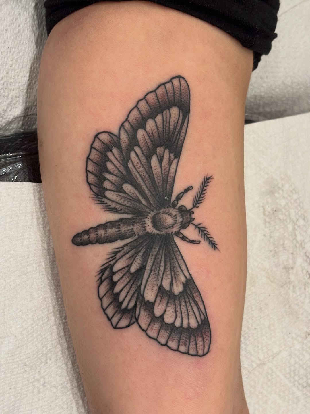 Tattoo by @fracas_tattoo โ illustrative, black_and_grey
