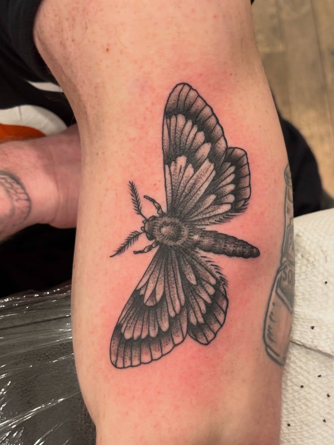 Tattoo by @fracas_tattoo โ black_and_grey, dotwork