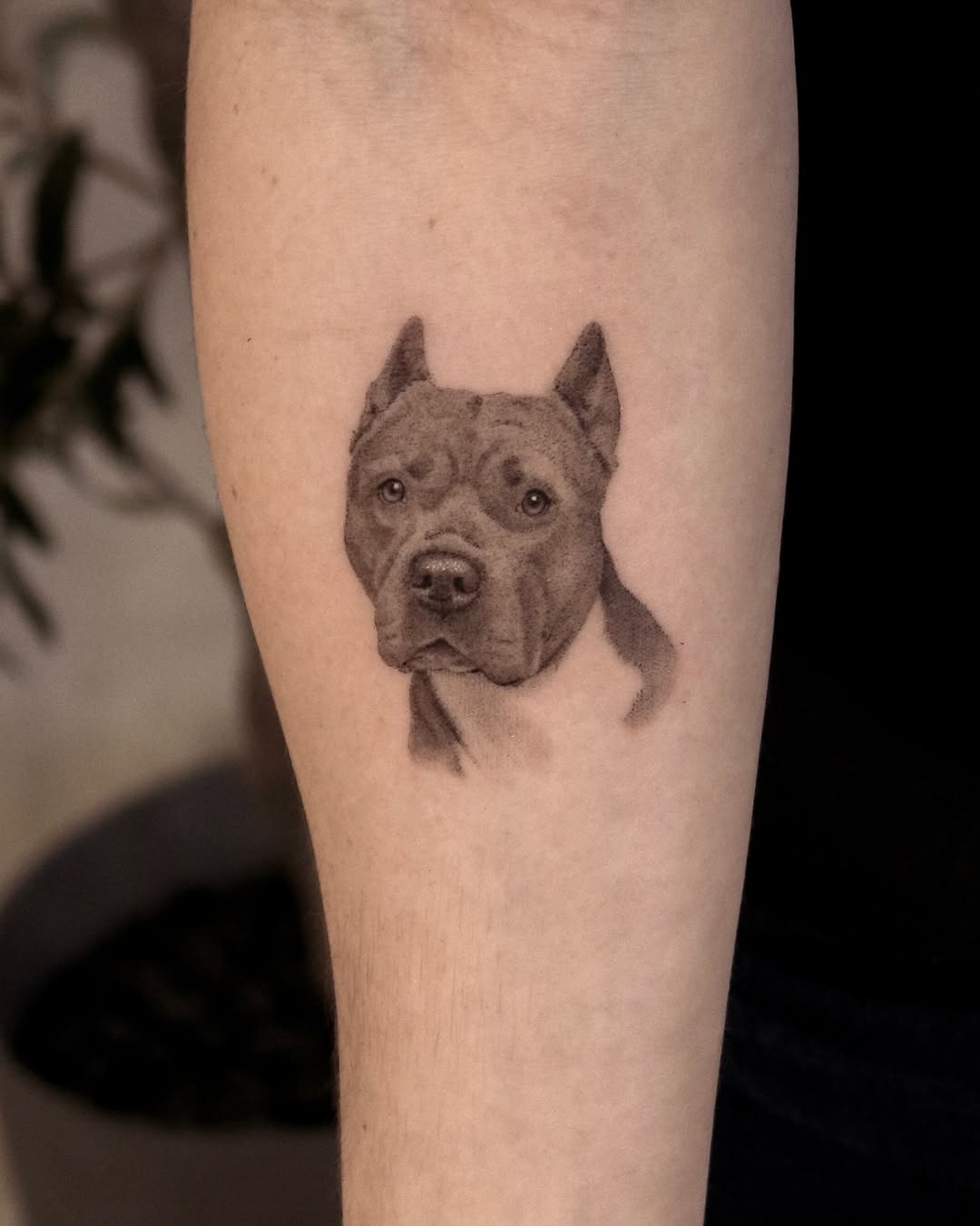 Tattoo by @nickthetailor — realism, black_and_grey